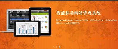 连山网络推广新选择 葫芦岛文明咨询专业社会经济咨询服务