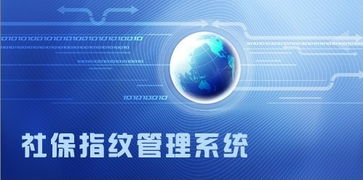 12333社保查询网的服务宗旨与职责