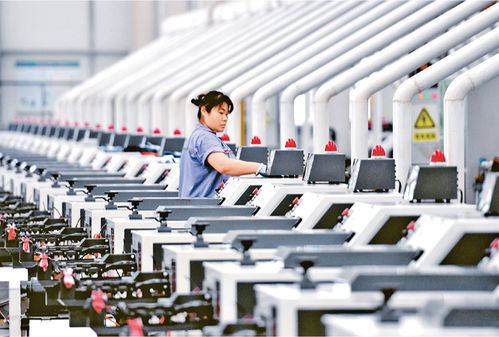 全面贯彻落实党的二十届三中全会精神 坚定不移推进经济社会高质量发展——个人商务服务的新使命与路径